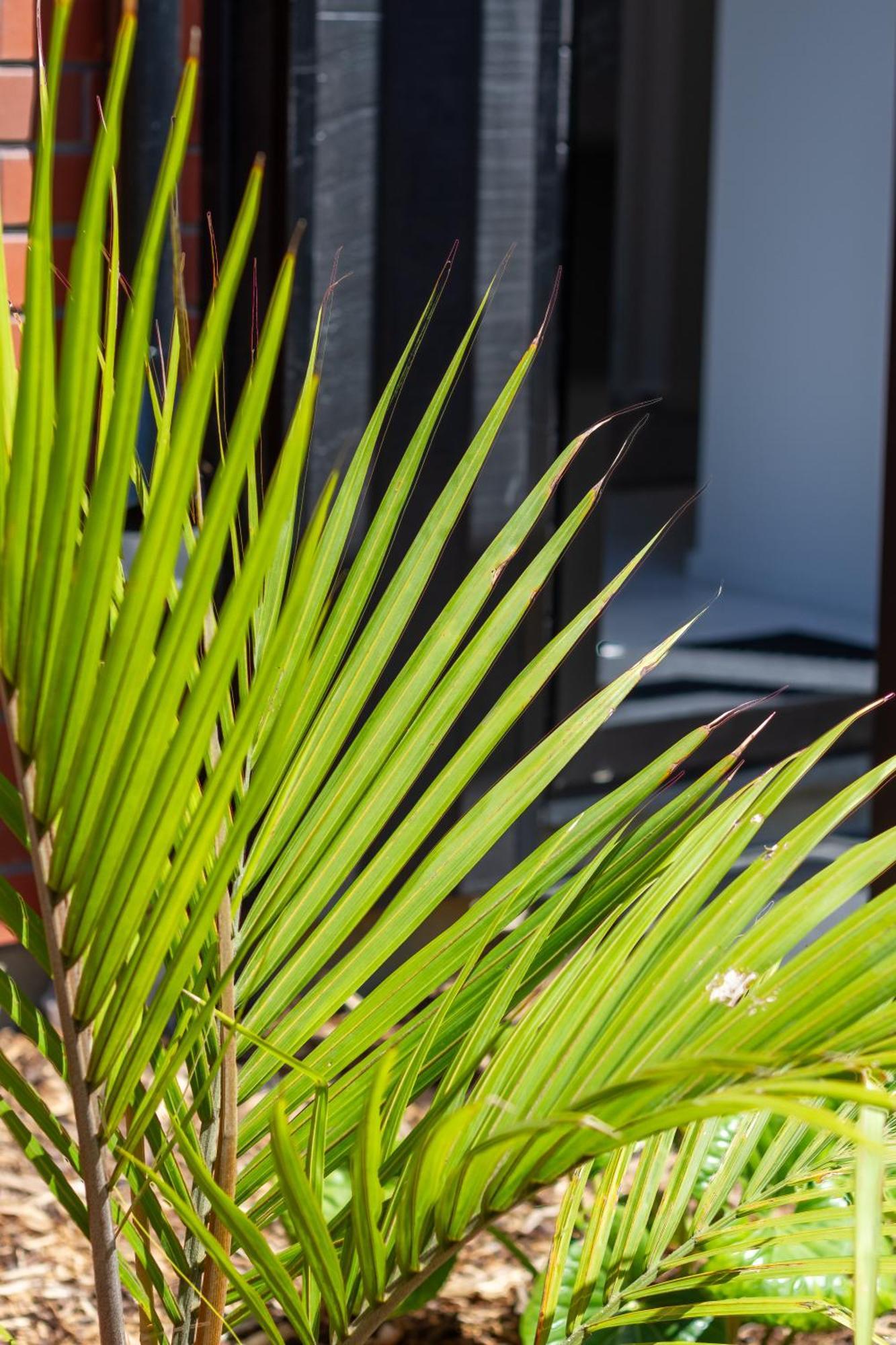 Apartamento Conveniently Located 2Br Townhouse In West Akl Auckland Exterior foto
